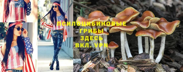 скорость Алексин