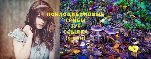 скорость Алексин