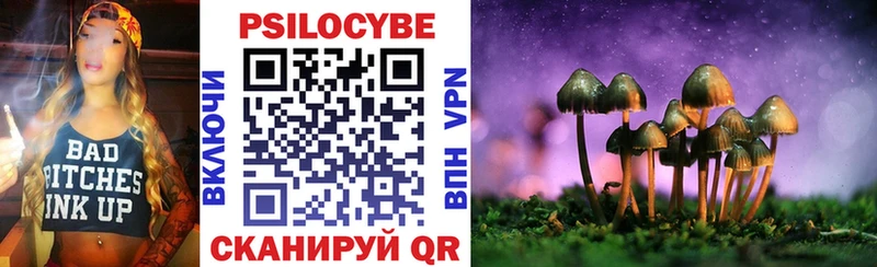 Галлюциногенные грибы Psilocybine cubensis  где купить наркотик  Зверево 